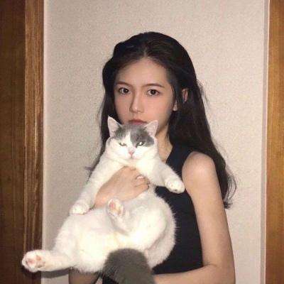 战国美人手游腾讯版下载